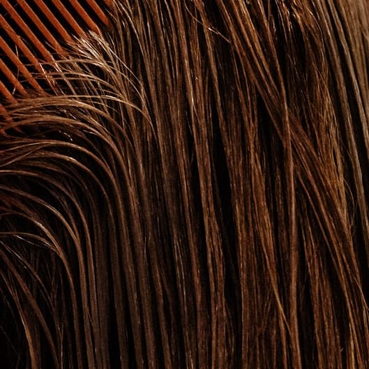 Blowout Package with Extensions at Hair by Cherise in Prescott Valley, AZ